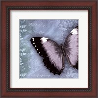 Framed Butterfly Notes X
