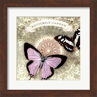 Framed Butterfly Notes XII
