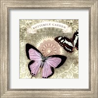 Framed Butterfly Notes XII