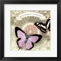 Framed Butterfly Notes XII