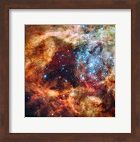 Framed Hubble Space Telescope image of the R136 Super Star Cluster