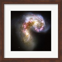 Framed Antennae Galaxies in Collision