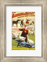Framed Barnum & Bailey Performing Geese, Roosters and Musical Donkey