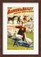 Framed Barnum & Bailey Performing Geese, Roosters and Musical Donkey