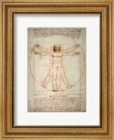 Framed Vitruvian Man