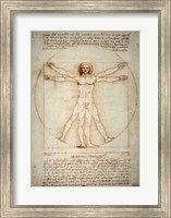 Framed Vitruvian Man