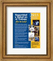 Framed OSHA Job Safety and Health Spanish Version 2012