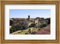 Framed Look from Palatine Hill Francesca Romana, Arch of Titus and Colosseum, Rome, Italy