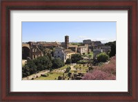 Framed Look from Palatine Hill Francesca Romana, Arch of Titus and Colosseum, Rome, Italy