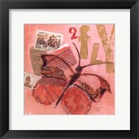 Framed Butterfly No. 2