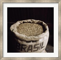 Framed Coffee Beans in a Burlap Sack