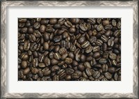 Framed Close-up of coffee beans