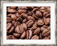 Framed Roasted Coffee Beans