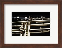Framed Close - up of a Clarinet and a Trumpet