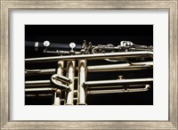 Framed Close - up of a Clarinet and a Trumpet