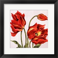 Framed Tulips on Silk