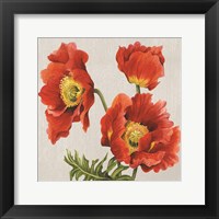 Framed Poppies on Silk