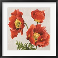 Framed Poppies on Silk