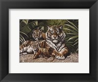 Framed Yellow Tigers With Cubs