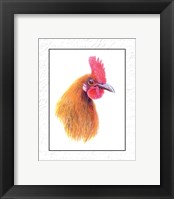 Rooster Insets I Framed Print