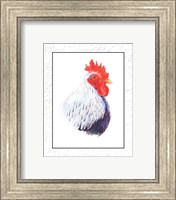 Framed Rooster Insets II