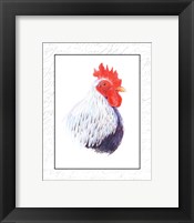 Framed Rooster Insets II