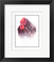 Rooster Insets III Framed Print