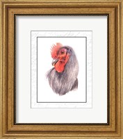 Framed Rooster Insets IV
