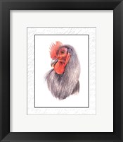 Rooster Insets IV Framed Print