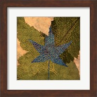 Framed Tea Leaf II