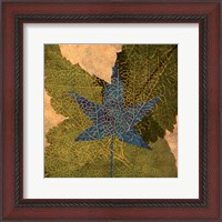 Framed Tea Leaf II