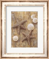 Framed Starfish