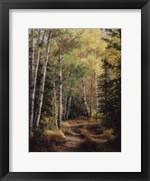 Framed Woodland Path