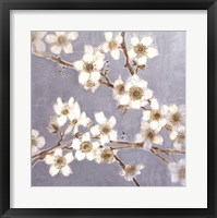 Framed Silver Blossoms I
