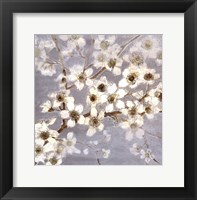 Framed Silver Blossoms II