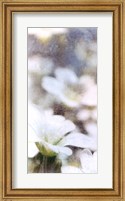 Framed Looking Glass I