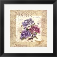 Paris Flower Market Framed Print