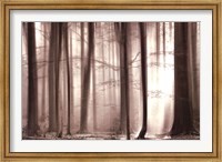 Framed Cloaking Woods