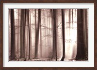 Framed Cloaking Woods