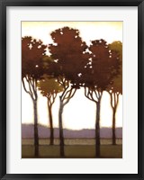 Arboreal Grove I Framed Print