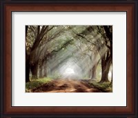 Framed Evergreen Plantation B