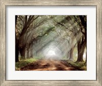 Framed Evergreen Plantation B