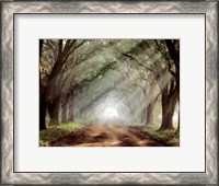 Framed Evergreen Plantation B