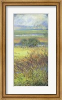 Framed Shimmering Marsh II