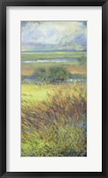 Framed Shimmering Marsh II