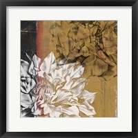 Bloom Illusion I Framed Print