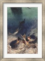 Framed Sailor's Delight, 1891