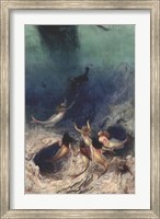 Framed Sailor's Delight, 1891