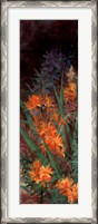 Framed Wild Lily Garden I