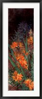 Wild Lily Garden I Framed Print
